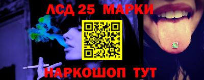 apvp Кингисепп