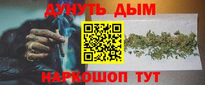 apvp Кингисепп