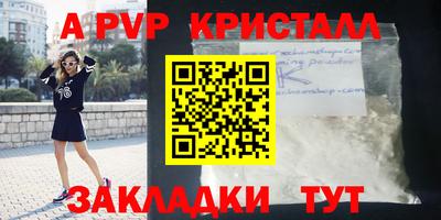 apvp Кингисепп