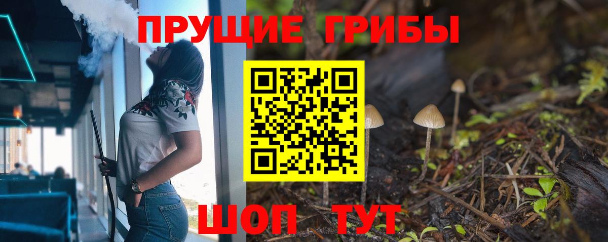 Галлюциногенные грибы MAGIC MUSHROOMS  Вход с VPN  что такое   Курган 